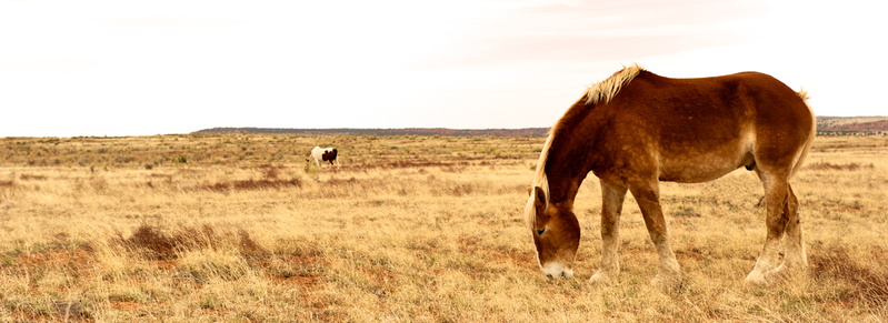 DSC_2503 - Version 2.jpg