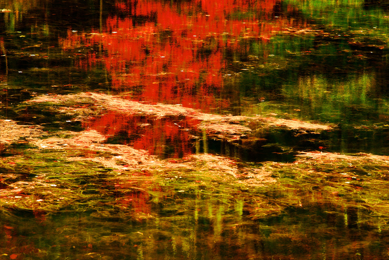 DSC_2652 - Version 2(1).jpg