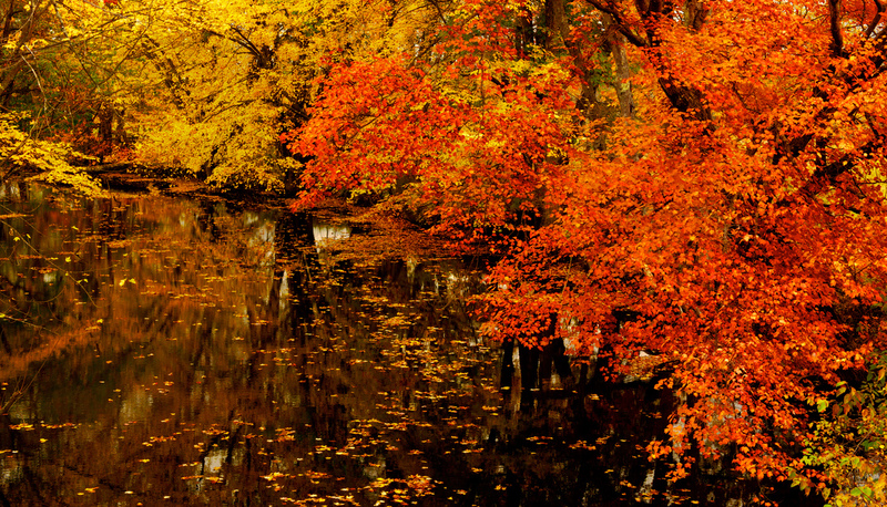 DSC_2678 - Version 2-2(1).jpg