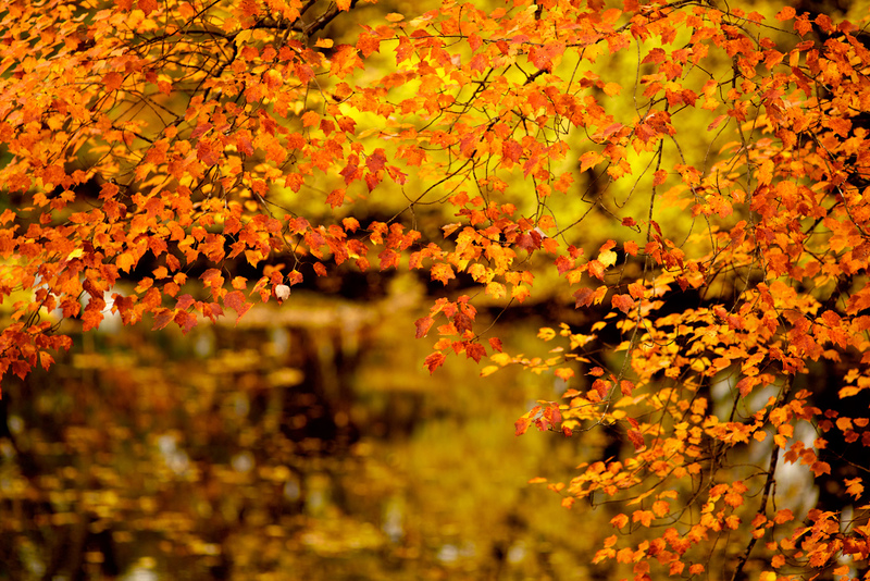 DSC_2714 - Version 2-3(1).jpg