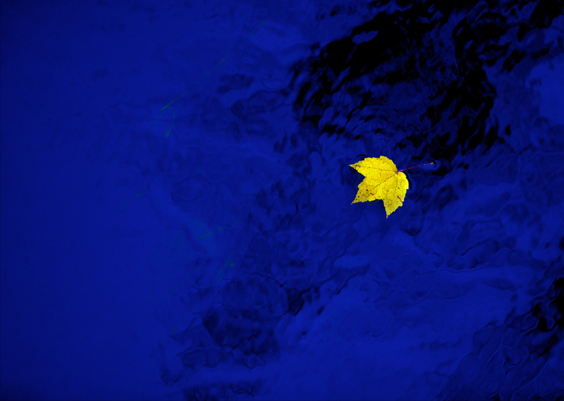 DSC_2774 - Version 3.jpg