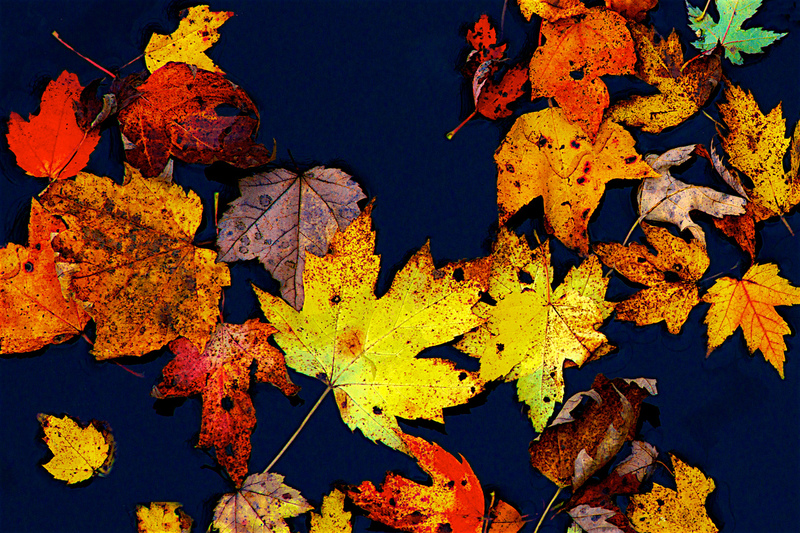 DSC_2794 - Version 3.jpg