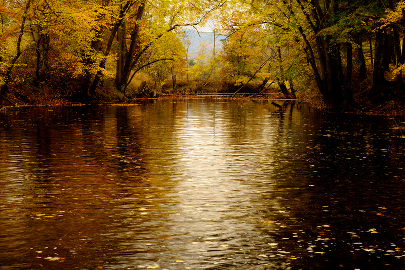 DSC_2822 - Version 2(1).jpg