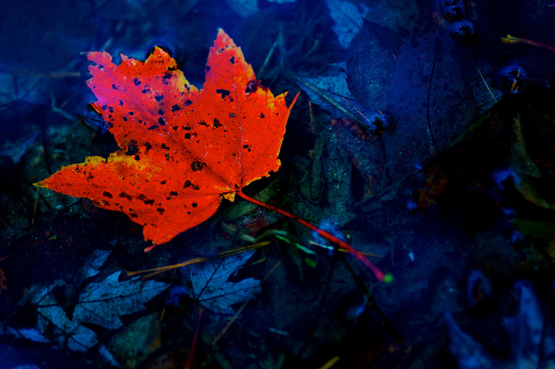 DSC_2873 - Version 2(1).jpg