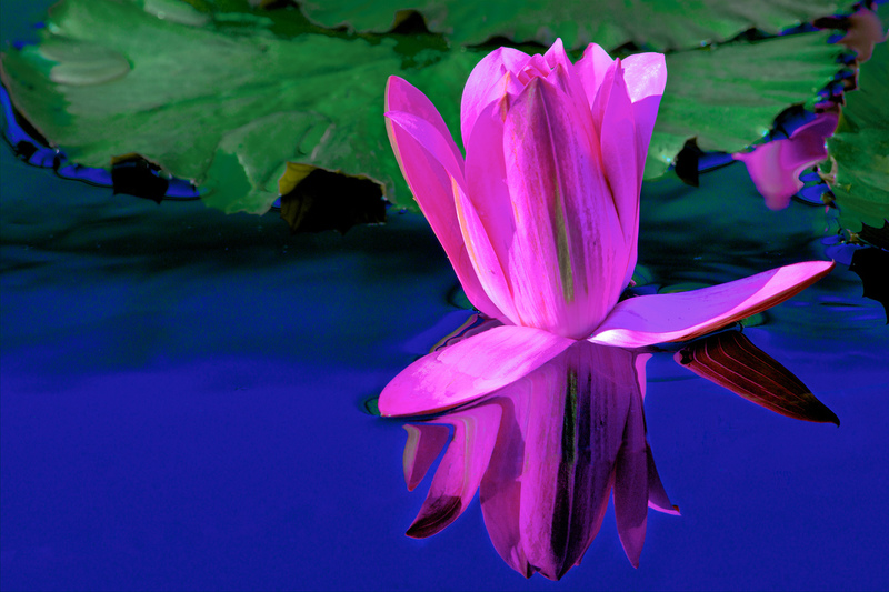 DSC_3321 - Version 2.jpg