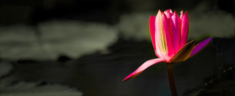 DSC_3355 - Version 2.jpg