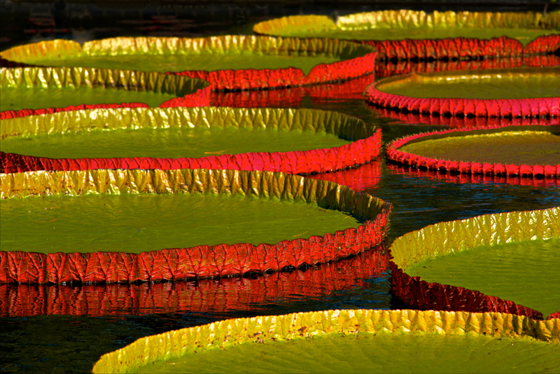 DSC_3357 - Version 2.jpg