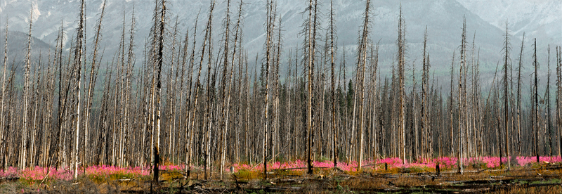 DSC_3615 - Version 3.jpg