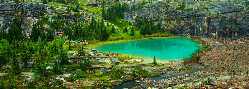 DSC_4239 - Version 2.jpg