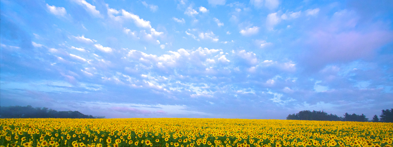 DSC_5276 - Version 3.jpg