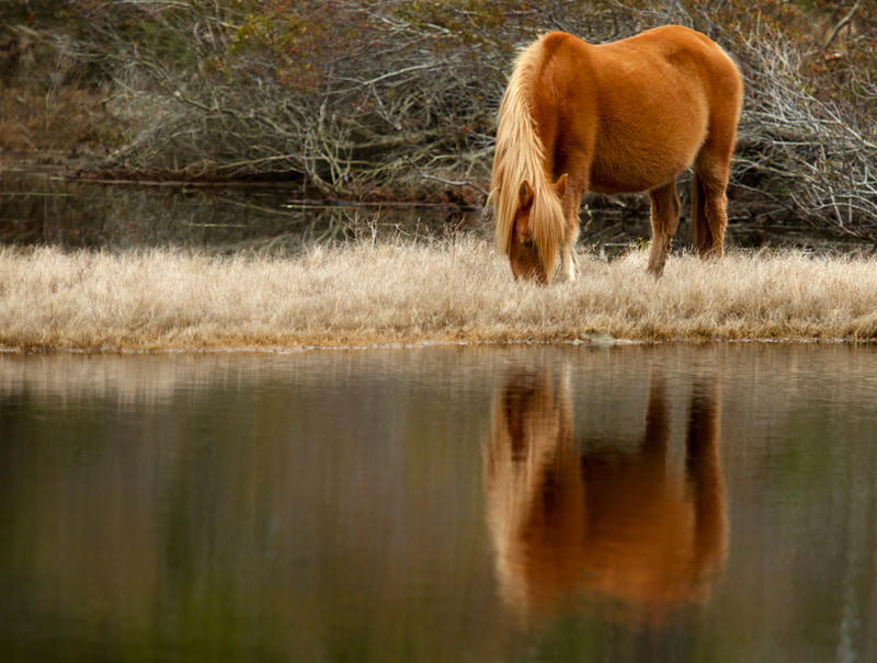 DSC_5471 - Version 2-2.jpg