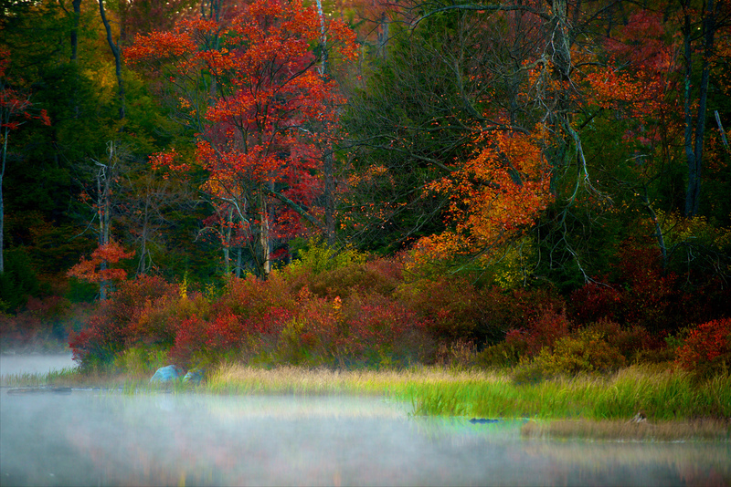 DSC_5704 - Version 2(1).jpg