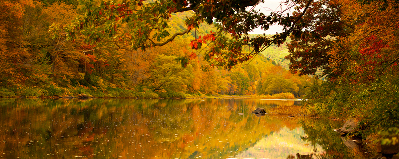 DSC_5962 - Version 2.jpg