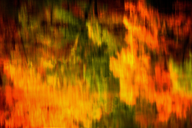 DSC_5973 - Version 2(1).jpg