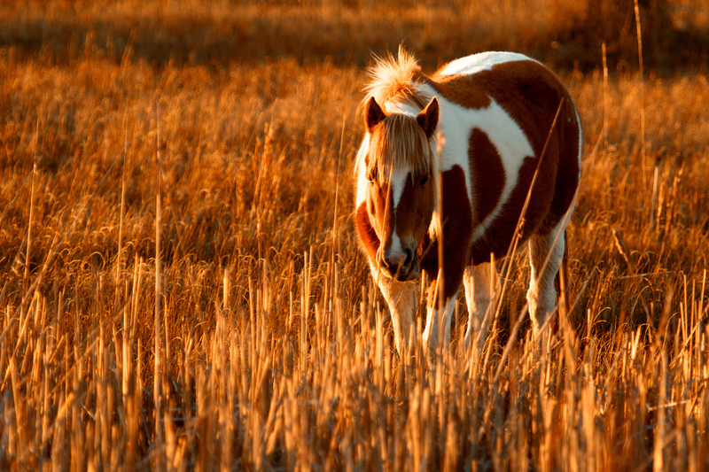 DSC_5992 - Version 2.jpg