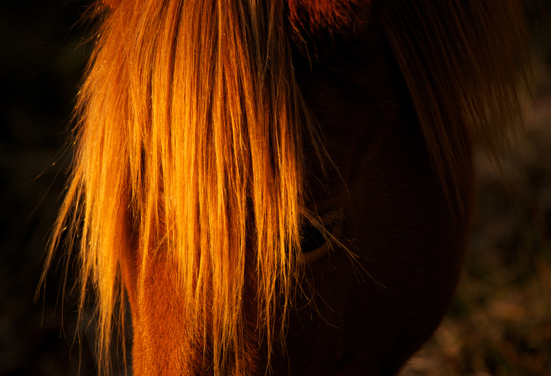 DSC_6035 - Version 2.jpg