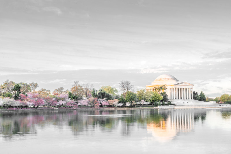 Early DC Morning(1).jpg