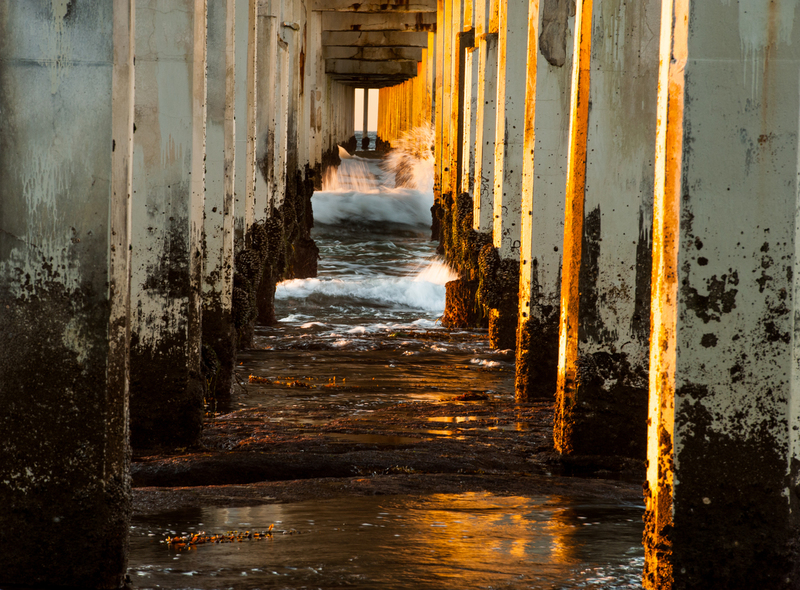 My Life.jpg :: My Life