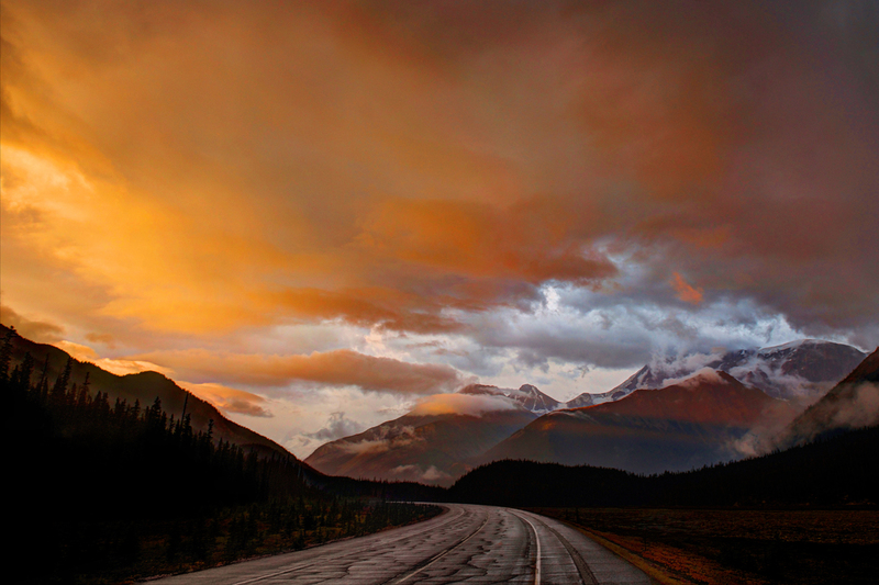 My long way home(1).jpg :: My long way home