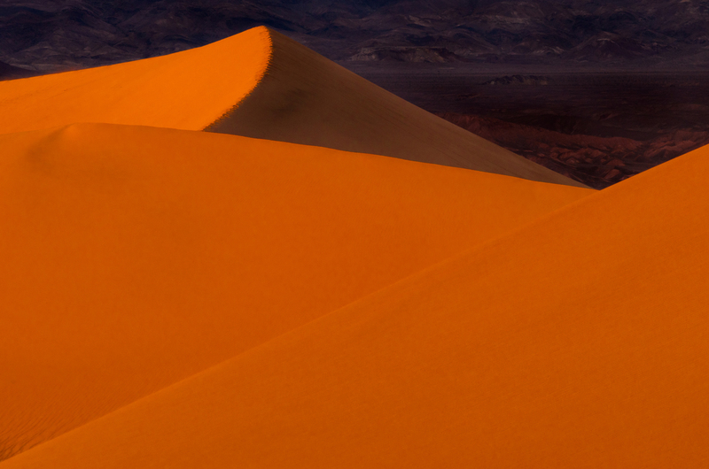 Orange Beaury.jpg :: Orange Beauty