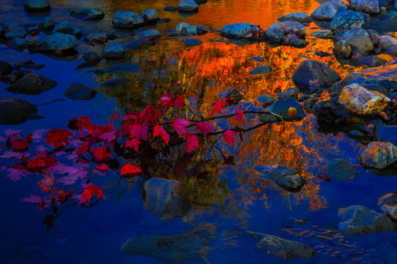 Season of Fire(1).jpg :: Season of Fire