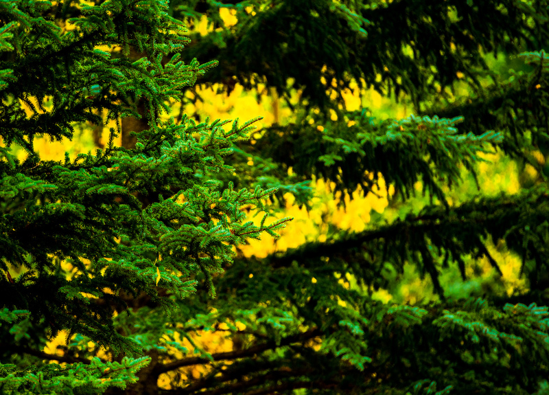 The vision_(1).jpg :: The vision behind