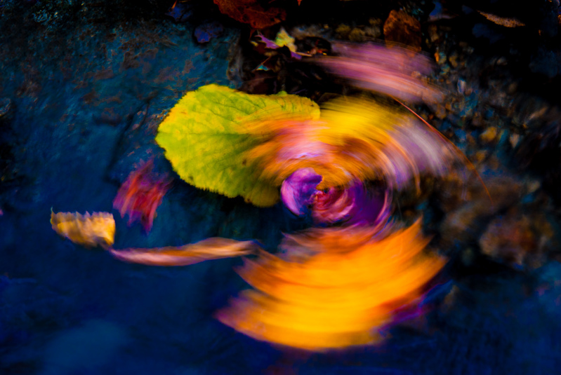 spinning confusion.jpg :: spinning confusion