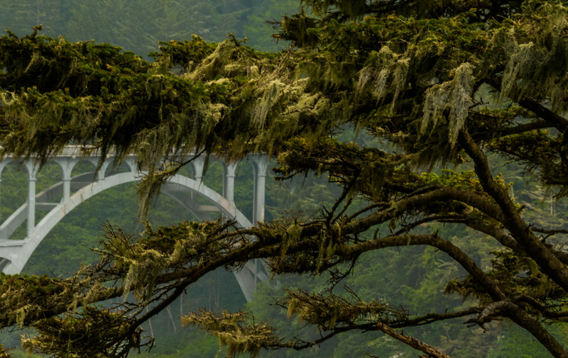 standing strong.jpg :: standing strong