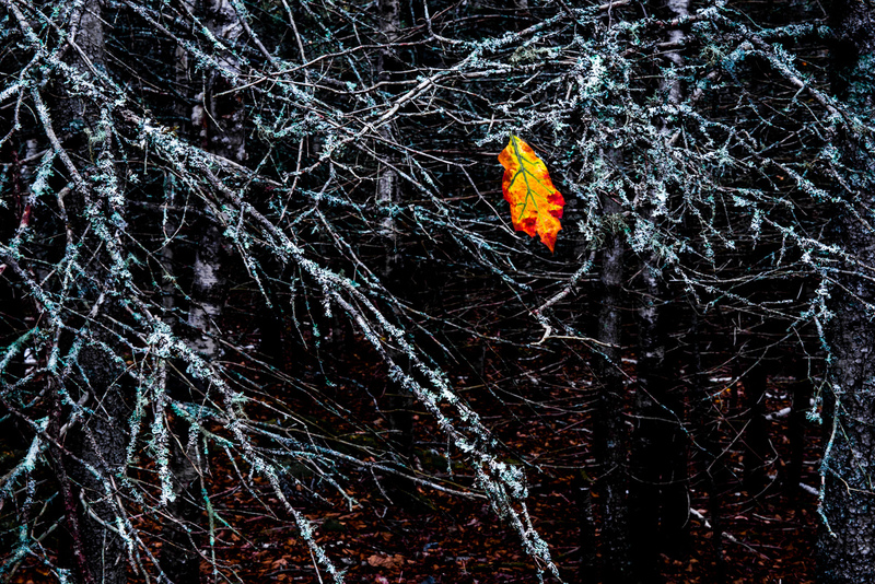 why me.jpg :: why me