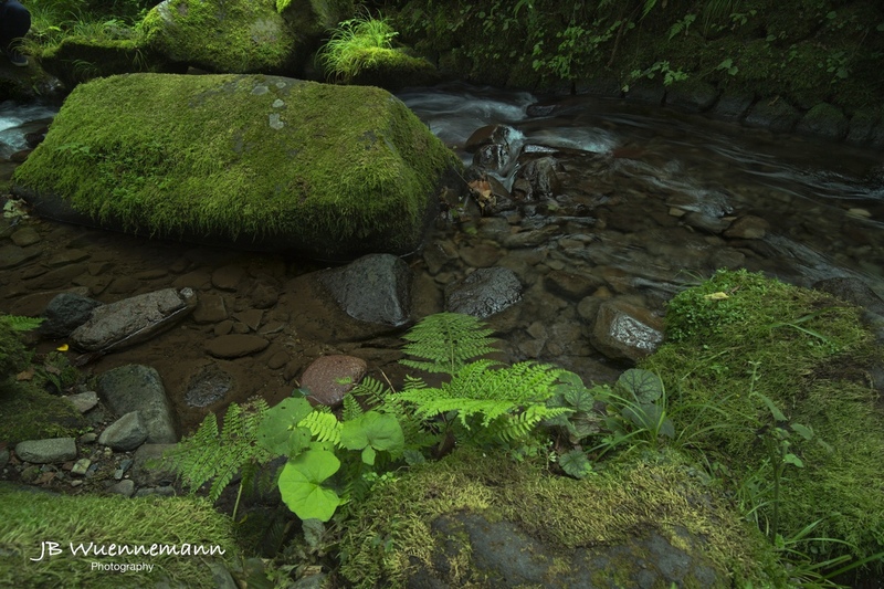 Amedaki Falls Mossy Rock.jpg