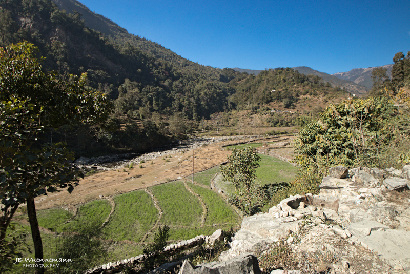 Annapurna Rice Fields(1).jpg