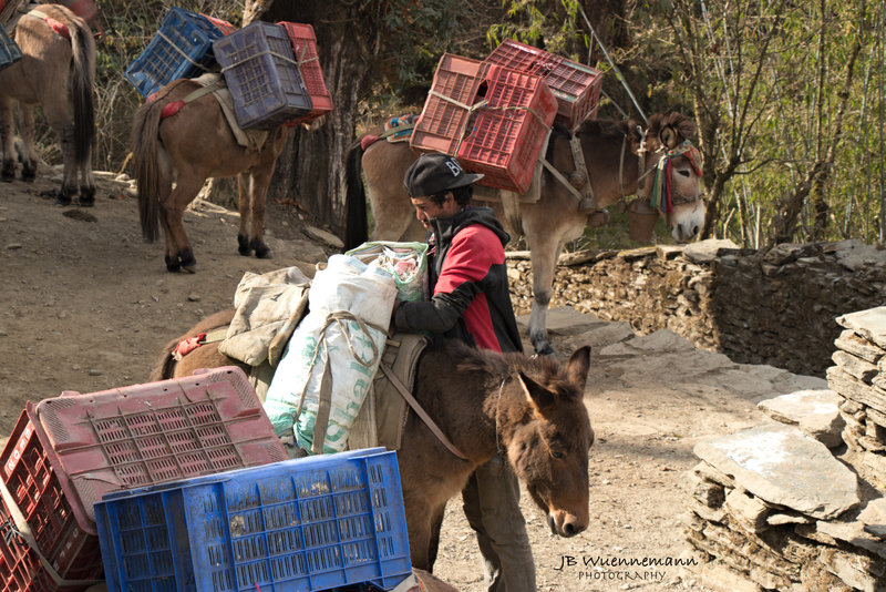 Annapurna Transportation Empy(1).jpg