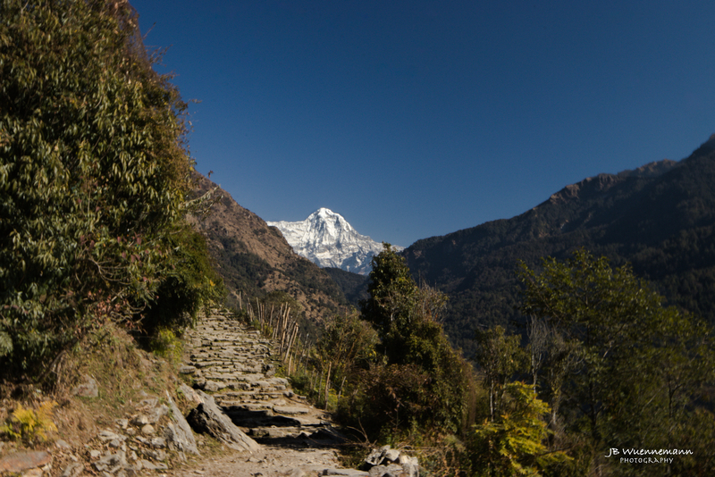 Annapurna Trek Path to Himalayas(1).jpg
