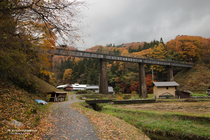 Crossing the Ravine in Fall Japan.jpg