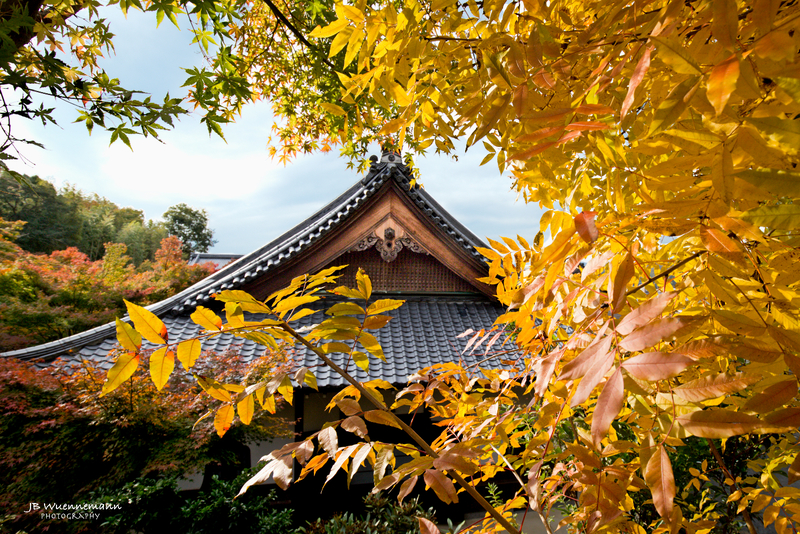 Enkoji Temple Through the Trees.jpg