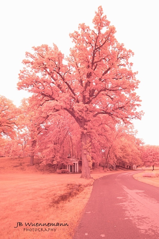 Historic Elmwood Cemetary 2-1_1.jpg