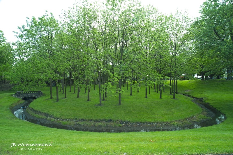 Historic Elmwood Cemetary 4.jpg