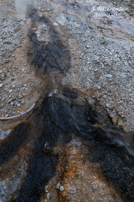 Hot Spring detail.jpg