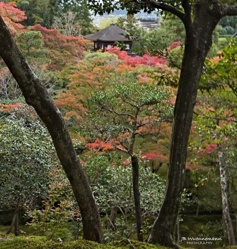 Kannonden Temple Autumn_1_1_1.jpg