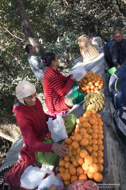 Local Trek Fruit Sales_1.jpg