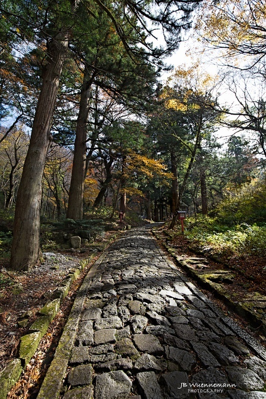 Mt Daisen Path to Temple_1_1_1.jpg