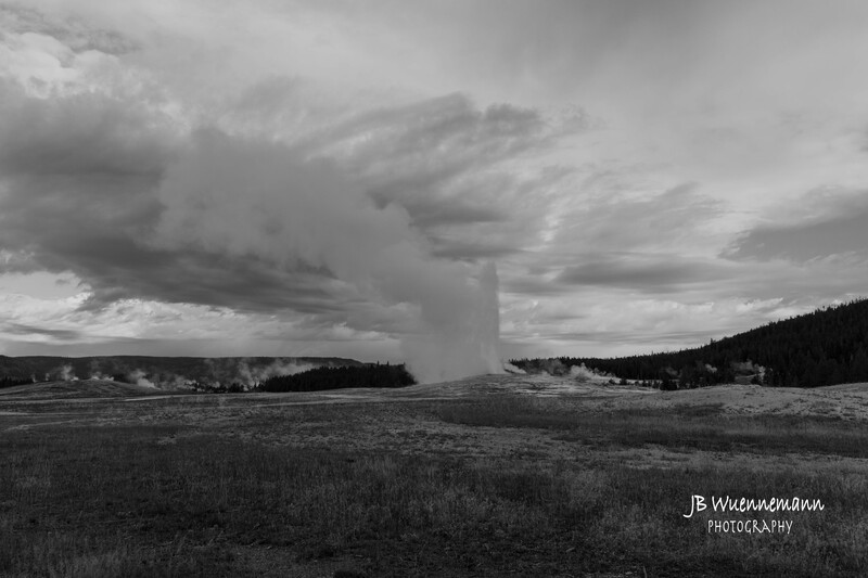 Old Faithful B_W.jpg