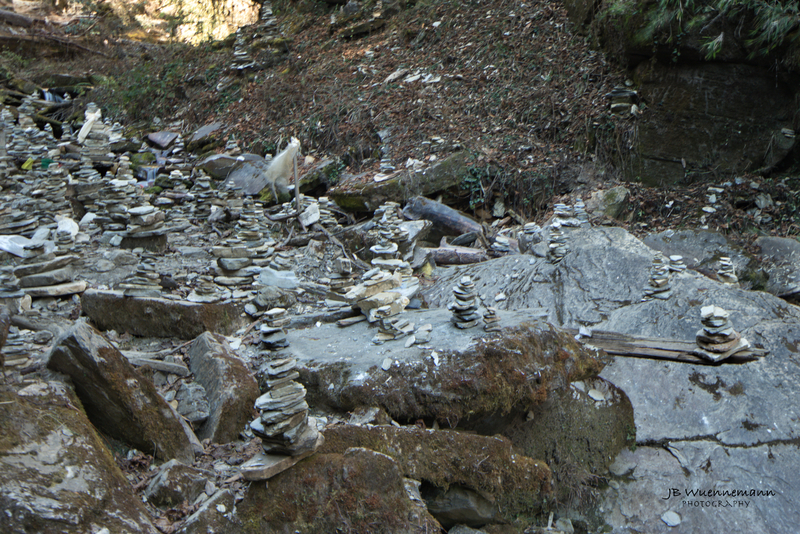 Payer Rocks in Dry River.jpg