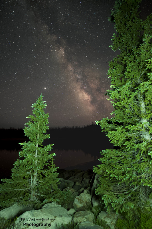 Pine Trees Milkyway (1).jpg :: Made from 12 light frames by Starry Landscape Stacker 1.8.0.  Algorithm: Mean Min Hor Noise
