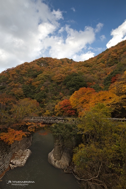 River One Fall Bridge_1_1_1.jpg