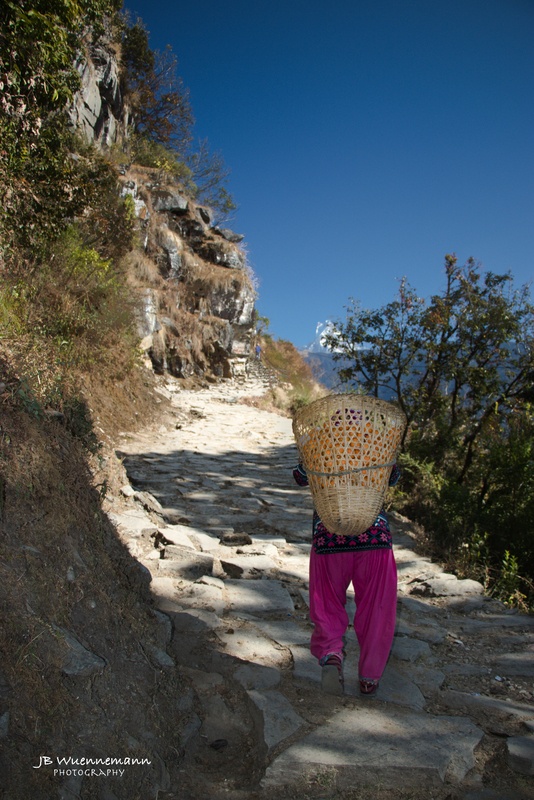 Selling Oranges on Annapurna Trek(1)_1.jpg