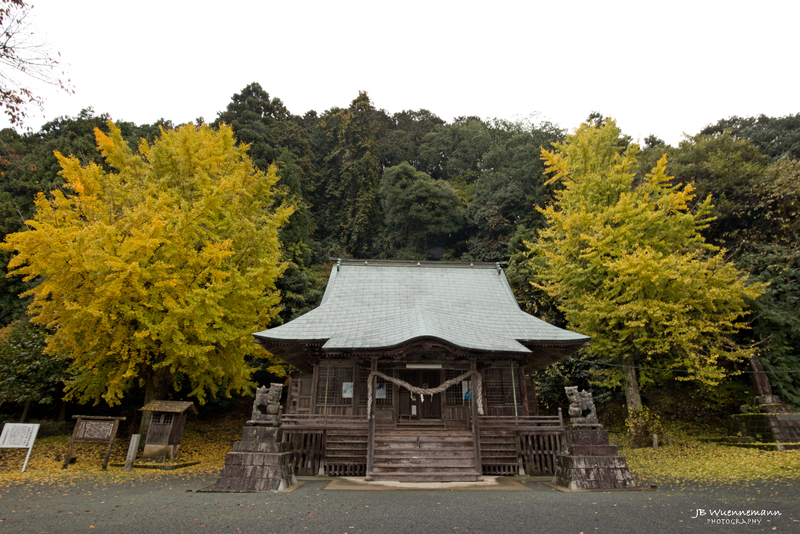 Shrine Two Yellow Trees.jpg