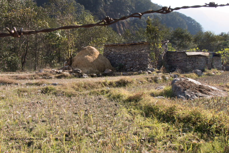 Stone Barn.jpg
