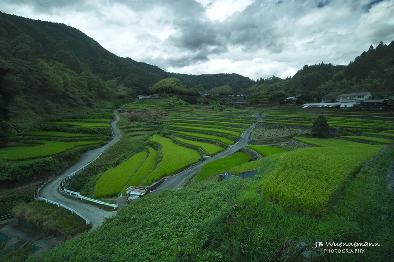 Summer at Ini Rice Terraces.jpg