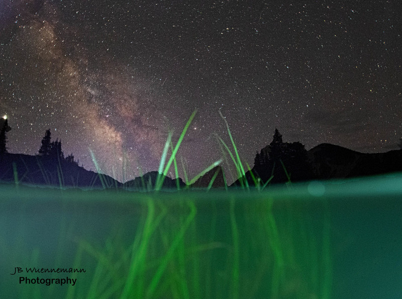 Underwater Grass Milkyway.jpg